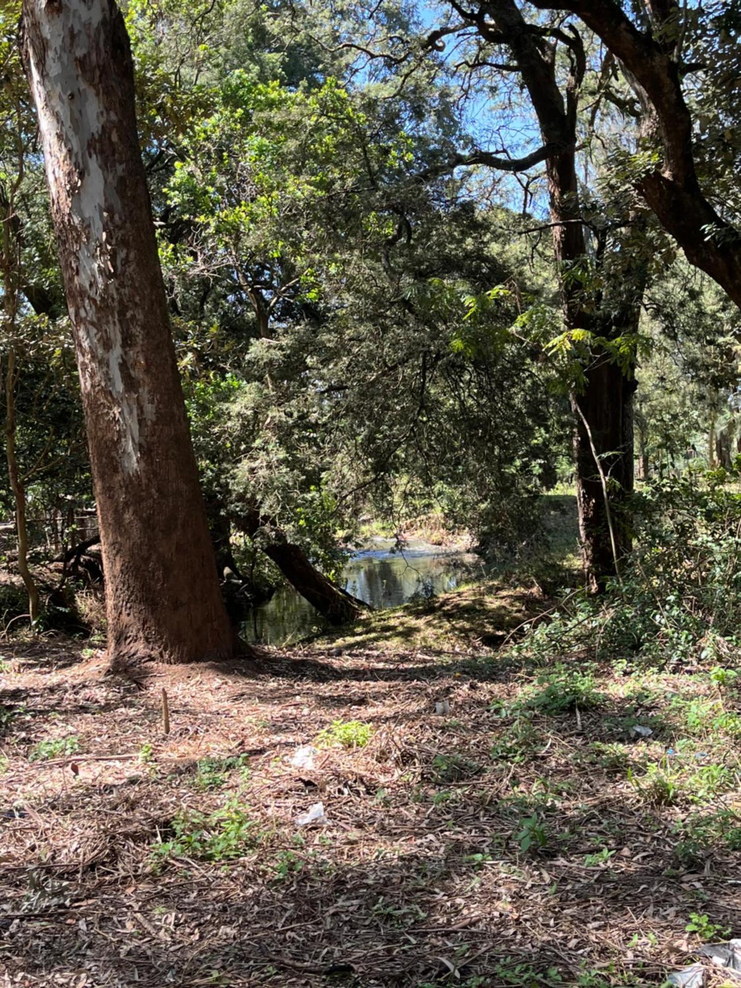 Koselig Homes Nanyuki Buitenkant foto